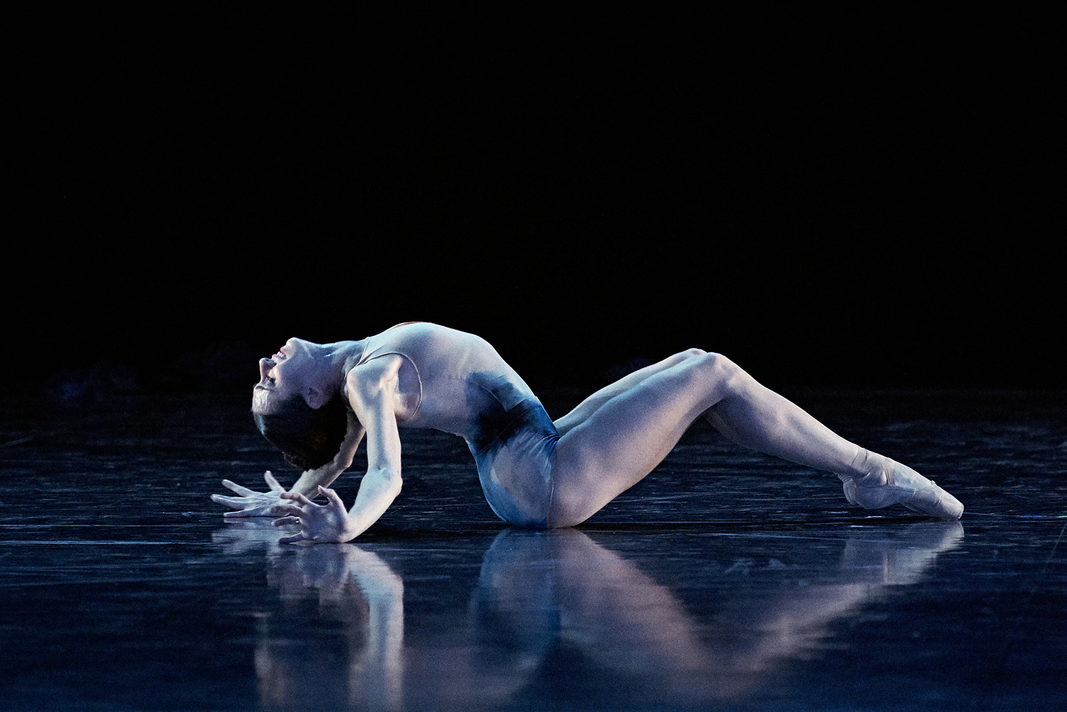 La ballerine Anya Nesvitaylo, danseuse des Grands Ballets